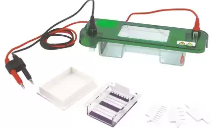 Horizontal Gel Electrophoresis 48*75mm 3.5 Horizontal Gel Electrophoresis 48*75mm 3.5,9.1