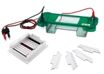 Horizontal Gel Electrophoresis