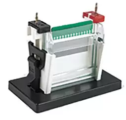 Vertical Gel Electrophoresis 100x100 mm 82x88 mm Vertical Gel Electrophoresis 100x100 mm 82x88 mm