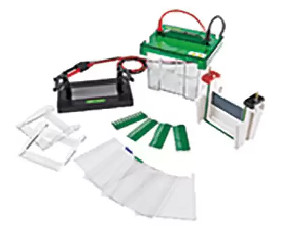 Vertical Gel Electrophoresis 100x100 mm 82x88 mm Vertical Gel Electrophoresis 100x100 mm 82x88 mm
