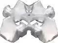 imagesnamedescriptionog_pricepriceFixed-angle Rotor12x10mLMax RPM:8,000r/minMax RCF:6,464xgFixed-angle Rotor12x15ml