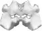 imagesnamedescriptionog_pricepriceFixed-angle Rotor12x1.5mL/2.0mLMax RPM: 21,000r/minMax RCF: 31,750xgFixed-angle