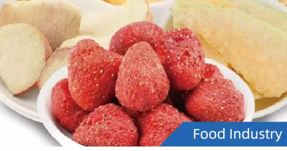 Food Industry Laboratory Benchtop Freeze Dryer 9 kg -90°C Food Industry Laboratory Benchtop Freeze Dryer 9 kg -90°C