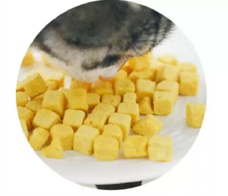 Pet Food Freeze-dried meat and eggs are an innovative choice for pet Pet Food Freeze-dried meat and eggs are an innovative choice for pet food. The freeze-dried raw materials are rich in high