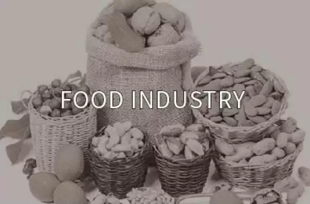 Food industry Textile Balance 10100g 0.01g