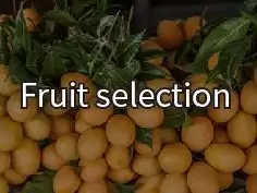 Fruit Selection Precision Balance 6000g 0.5g