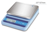 Precision Balance