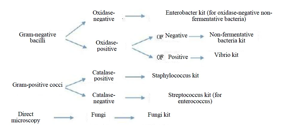 Figure 3 (Manual Test), For details of the operation methods, see the operation manual of each kit., 4.4.1 First turn on the