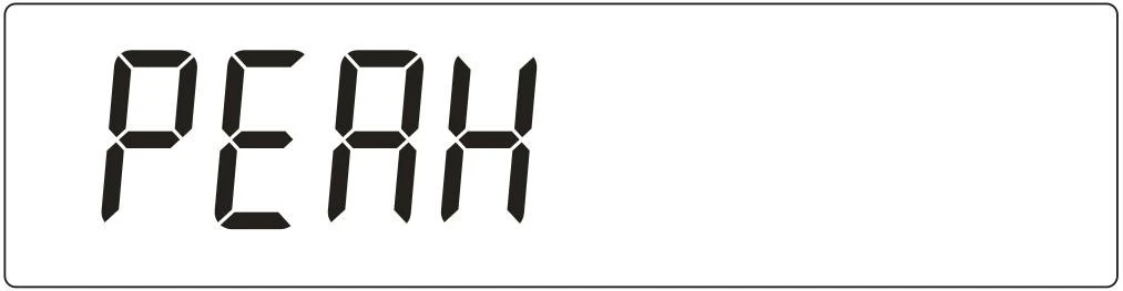3.2.06 Peak Hold, This function can keep the maximum value displayed on the screen for a long time, easy for customers to