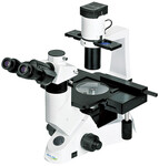 Biological Microscope BMIC-501